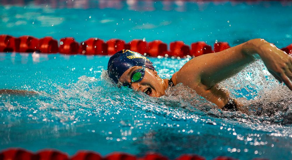 Freestyle stroke